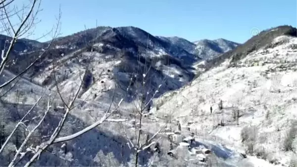 Karadeniz'in kardan kapanan yollarını açıyorlar