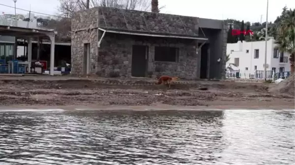 Muğla bodrum'da bir kaçak binanın daha yıkımı gerçekleştirildi