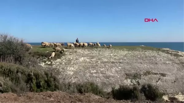 Çobanlık yapan Veysel, dalga sörfünde Türkiye üçüncüsü oldu