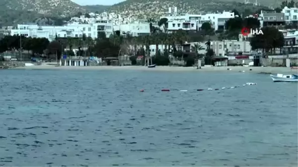 Bodrum'un dünyaca ünlü sahiller sokak hayvanlarına kaldı