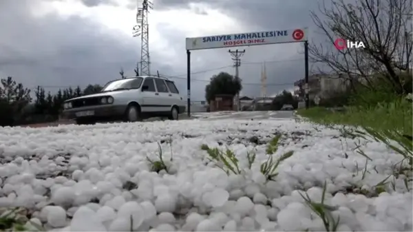 Mersin'de şiddetli dolu yağışı meyve bahçelerini vurdu