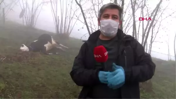 Ordu'da yıldırım isabet eden kadın kurtarılamadı