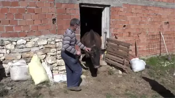 Gözü gibi baktığı 