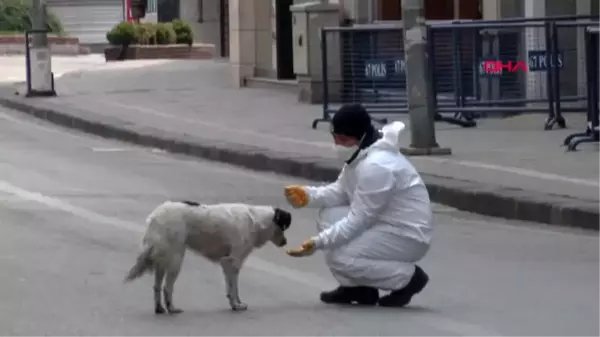 ZONGULDAK Sokak köpeğini elleriyle besledi