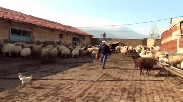 Halk ozanı Aşık İbrahim'den 