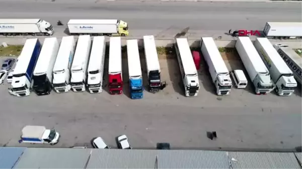 Antalya Toptancı Hali'nden ürünler günlük yola çıkıyor