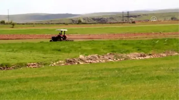 Midyat'ta çiftçiler üretime devam ediyor