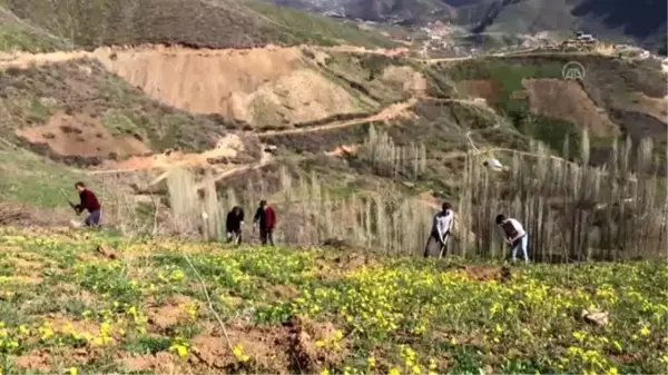 Şemdinlililerin bahar mesaisi başladı