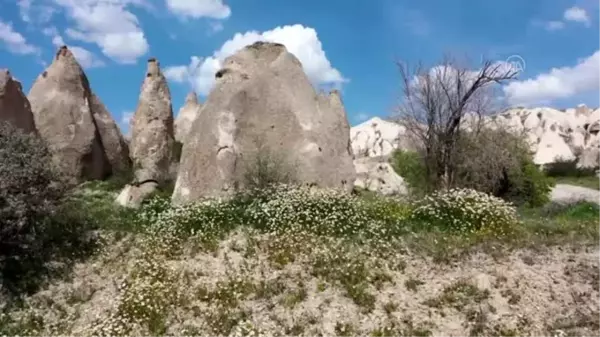 Kapadokya'nın ilkbahar manzarası büyülüyor