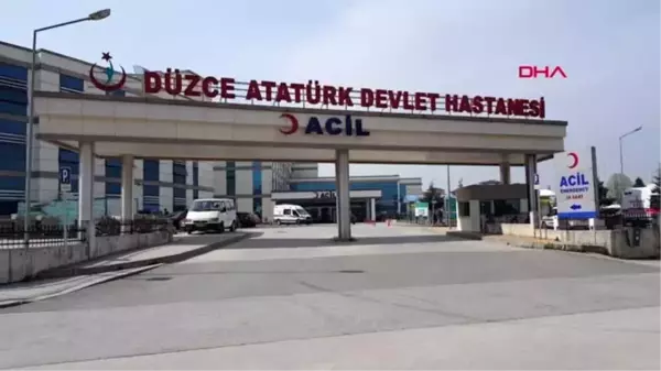 Yabani arıların saldırdığı kadın hastanelik oldu