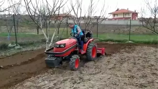 Din görevlileri bahçe suluyor, ağaç buduyor