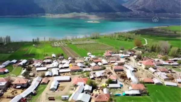 Gölün ortasındaki adada koronavirüsten izole bir hayat sürdürüyorlar