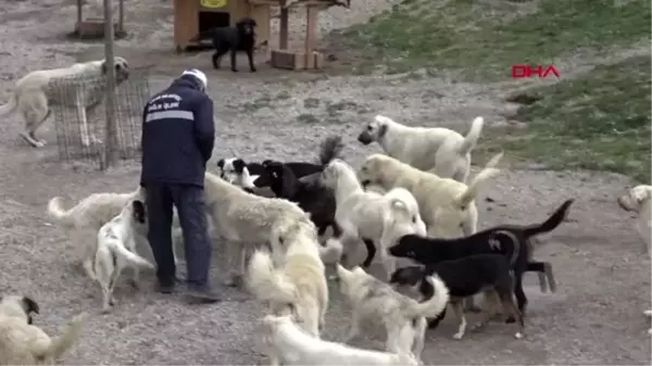 KAYSERİ Patiköy'de 'koronavirüs' sessizliği