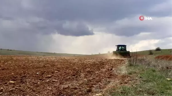 Gümüşhane karabuğdayın başkenti olacak