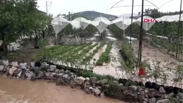 MERSİN Erdemli'de dolu seralara zarar verdi