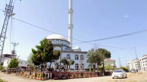 Muhtar cami avlusunu adeta botanik bahçesine dönüştürdü