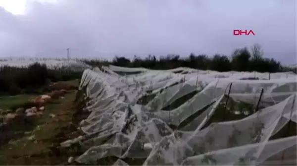 MERSİN Erdemli'de bin dönüm tarım arazisi doludan zarar gördü