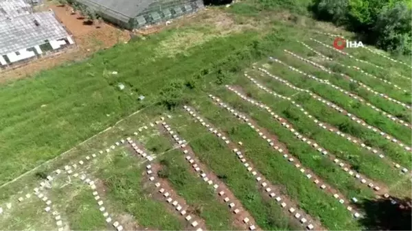 Okul harçlığı için başladığı arcılık gelir kapısı oldu