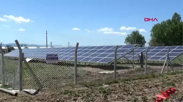 AFYON TARLASINA GÜNEŞ ENERJİ SİSTEMİ KURDU