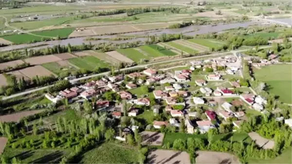 Erzincan'ın 16 yıllık leylek sakinleri yine aynı yuvalarına yerleşti