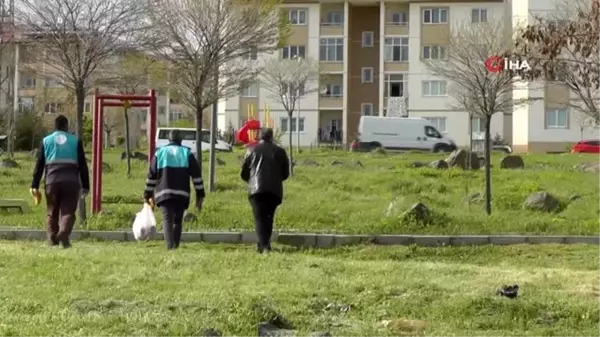 Erciş Belediyesinden sokak hayvanlarına yem desteği