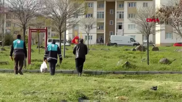 Van'da, sokak hayvanları unutulmadı