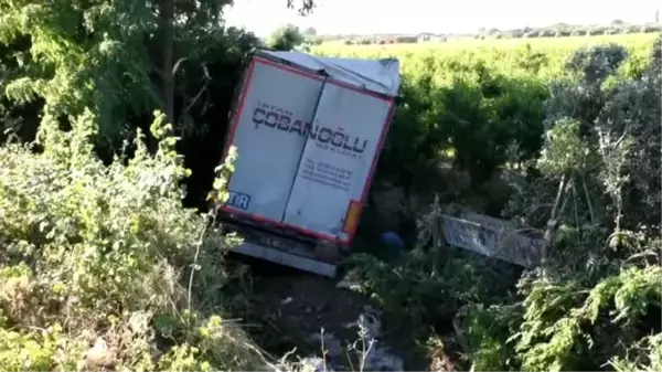 Kontrolden çıkarak bahçeye giren tır ağaçlara çarptı: 1 yaralı