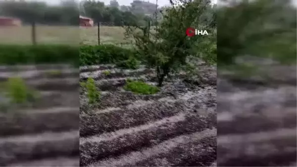 Edirne'de çiftçileri dolu vurdu