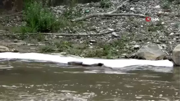 Şehrin merkezinden geçen dere köpürdü