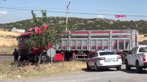 Trenin çarptığı TIR'ın şoförü öldü