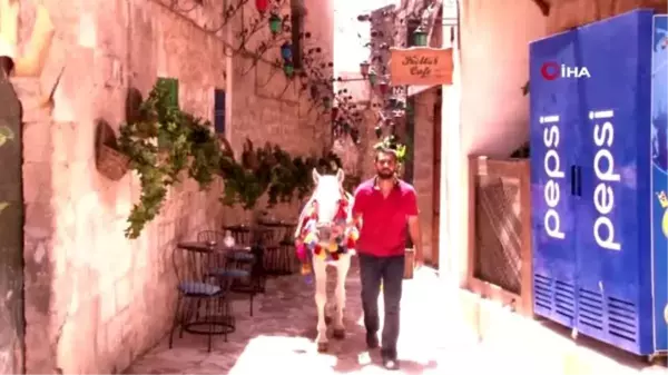 Mardin'in meşhur süslü atları ziyaretçilerini bekliyor