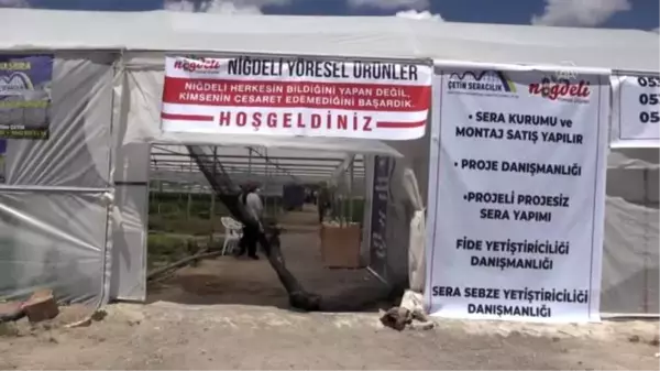 Devlet desteğiyle sera kuran çiftçi örnek oldu