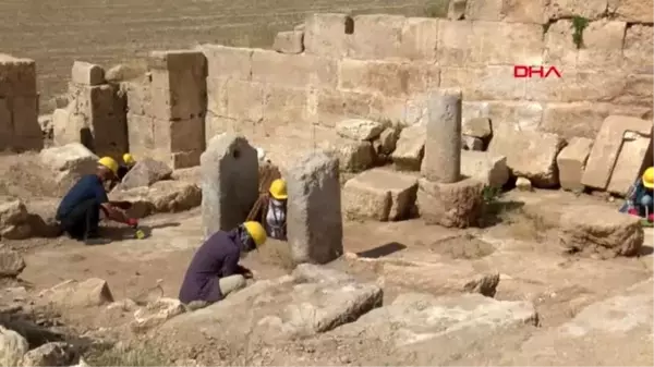 DİYARBAKIR Zerzevan Kalesi'nde sosyal mesafeli ve maskeli kazı dönemi