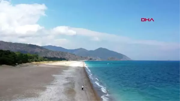 Son dakika haberleri! ANTALYA Kemer'de, deniz kaplumbağalarının korunması için destek protokolü