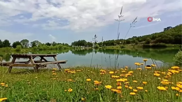 Saklı cennet 'Yeşil Göl' turizme kazandırılıyor