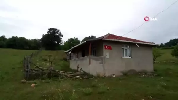 Aç kalan ayı girdiği evin altını üstüne getirdi