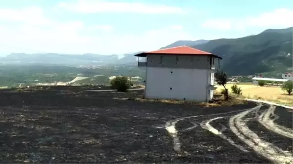 Yangında 80 dekar alandaki ekinler yandı