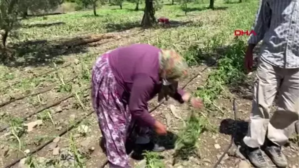 Ekili arazisini sel vurunca gözyaşı döktü