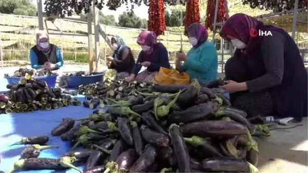 Havalar ısınınca Patlıcan Vadisi hareketlendi