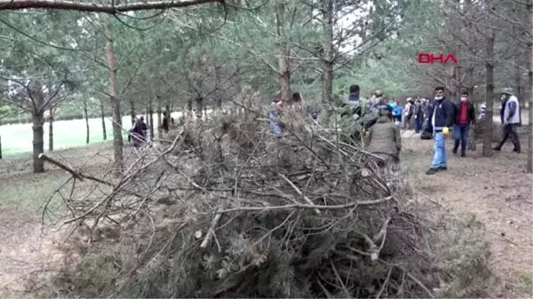 ERZURUM Testere ve baltalarla ormanda kuruyan dalları kesip, temizlik yaptılar