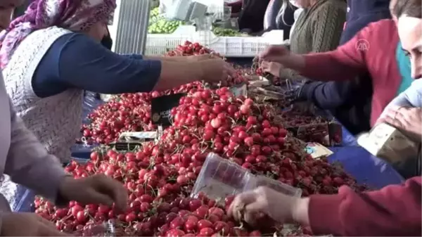 Pandemi sürecinde hava kargoyla 1,8 milyon dolarlık meyve ihracatı gerçekleştirildi