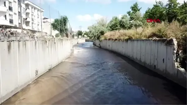 ESENYURT'TA TAŞAN DEREDE ÇALIŞMA YAPILACAK