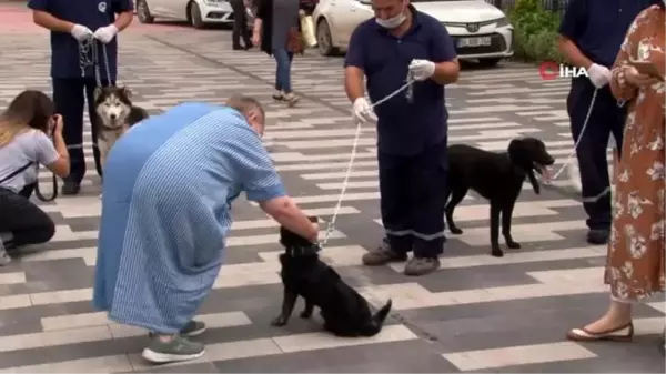 Son dakika genel: İtfaiye ekiplerinin sahiplenerek eğittiği arama kurtarma köpekleri programda boy gösterdi