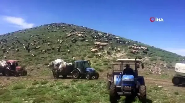 Yollar açıldı, çiftçiler yaylaya akın etti