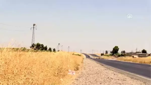 Leylekler, Duhok'ta elektrik direklerini mesken tuttu- DUHOK