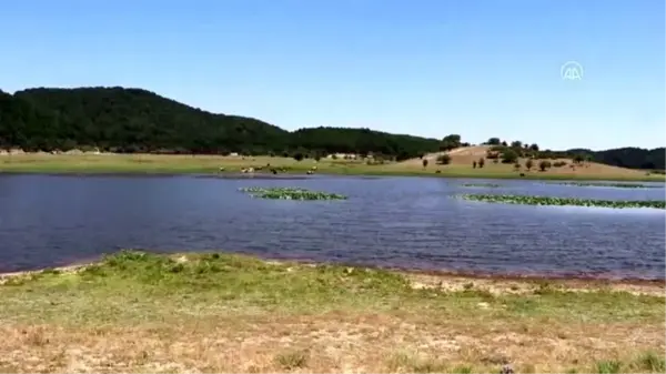 Buldan Yayla Gölü'nün doğal sit alanı ilan edilmesi memnuniyetle karşılandı