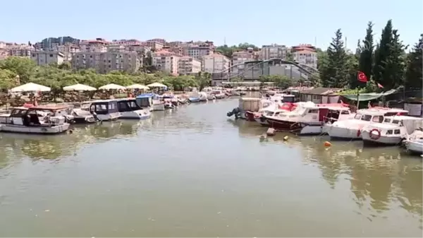 Küçükçekmece Gölü'nde binlerce ölü balık kıyıya vurdu