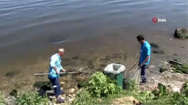 Çevre ve Şehircilik Bakanlığı ekipleri, balık ölümlerinin yaşandığı Küçükçekmece Gölü'nden numune...