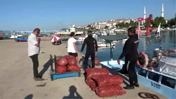 DÜZCE Akçakoca'da dalgıçlar salyangoz için dalıyor