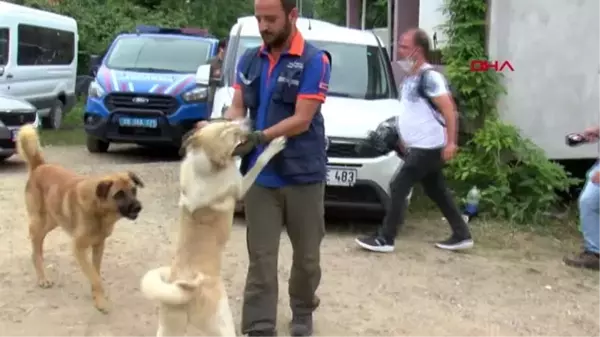 GİRESUN Kayıp İkranur her yerde aranıyor; JÖH'ler devreye girdi-1